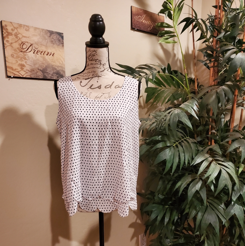 NWT Maison Jules